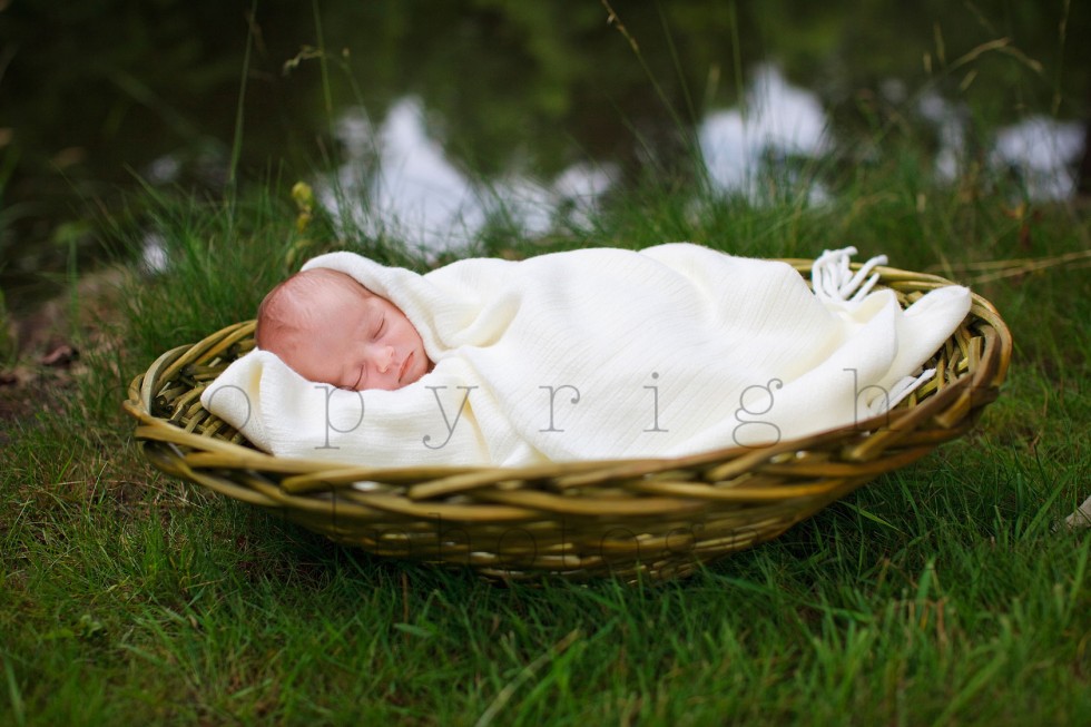 racine newborn photographer