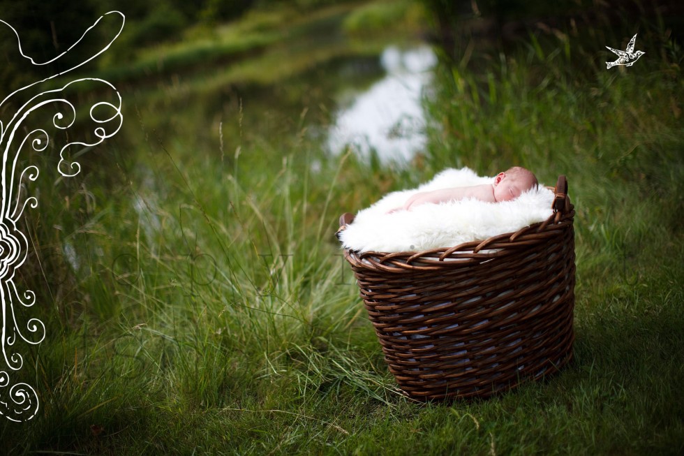 racine newborn photographer