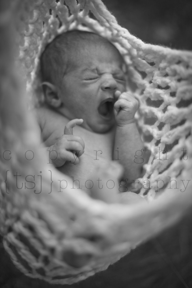 racine newborn photographer