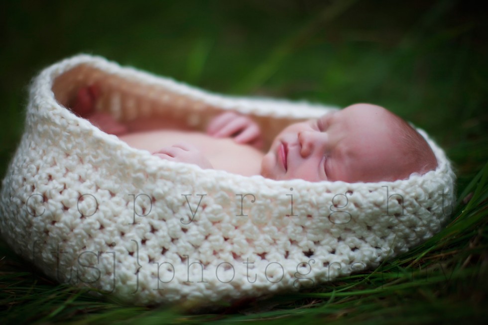 milwaukee newborn photographer