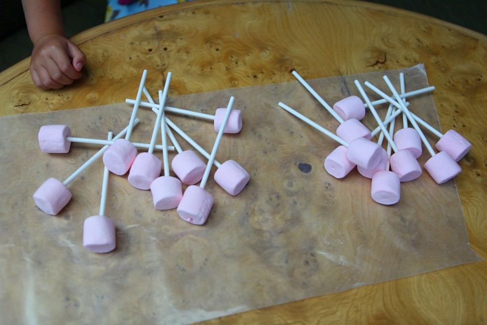 marshmallow craft