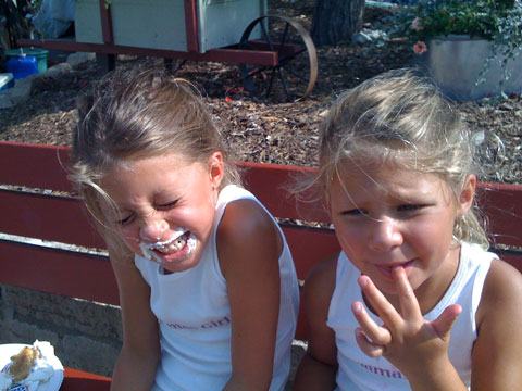 wisconsin state fair