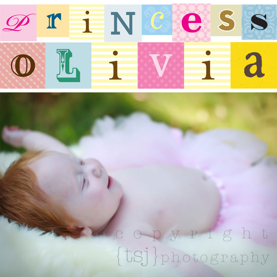 milwaukee baby photographer