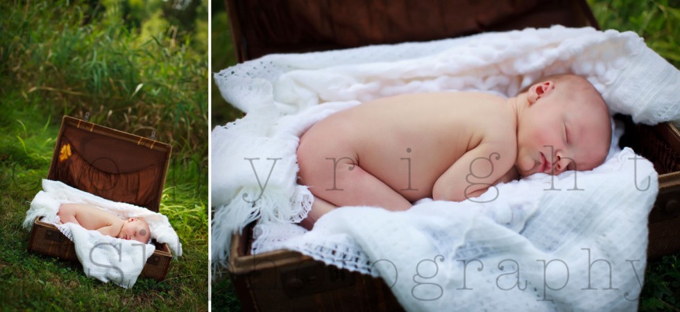 milwaukee newborn photographer