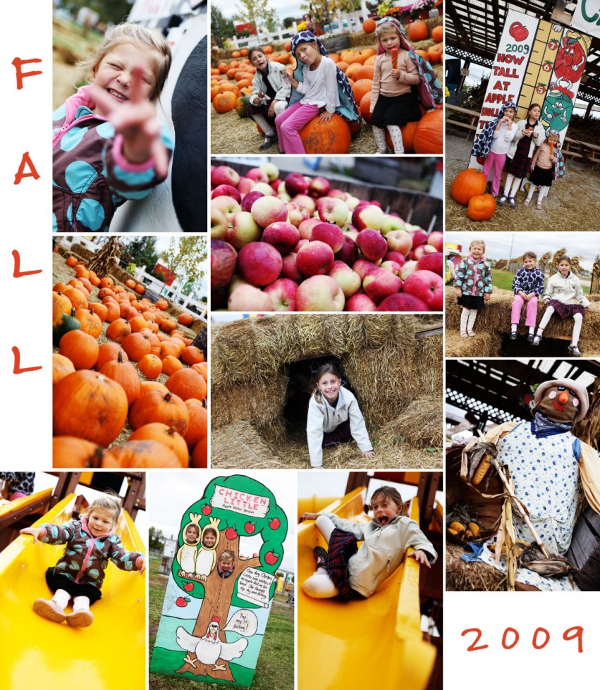 2009 fall collage