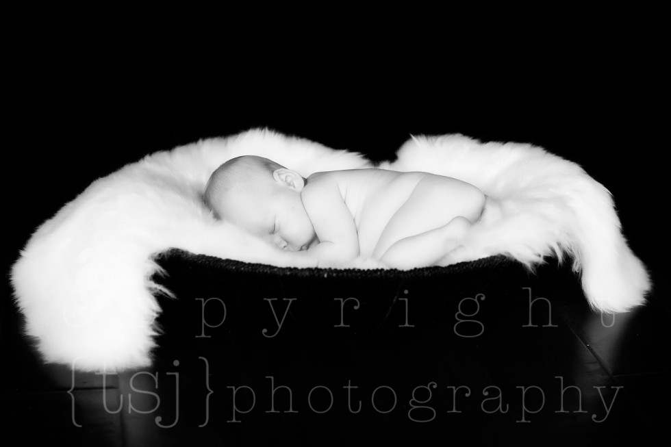 milwaukee newborn photographer