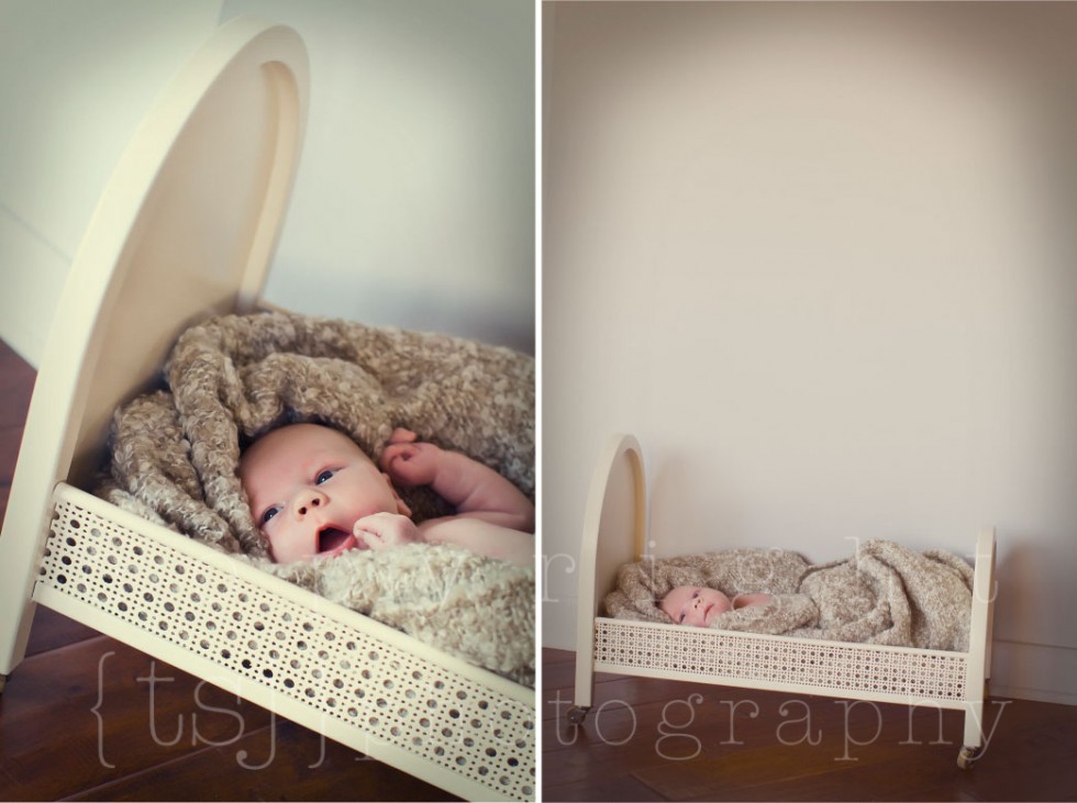 milwaukee newborn photographer