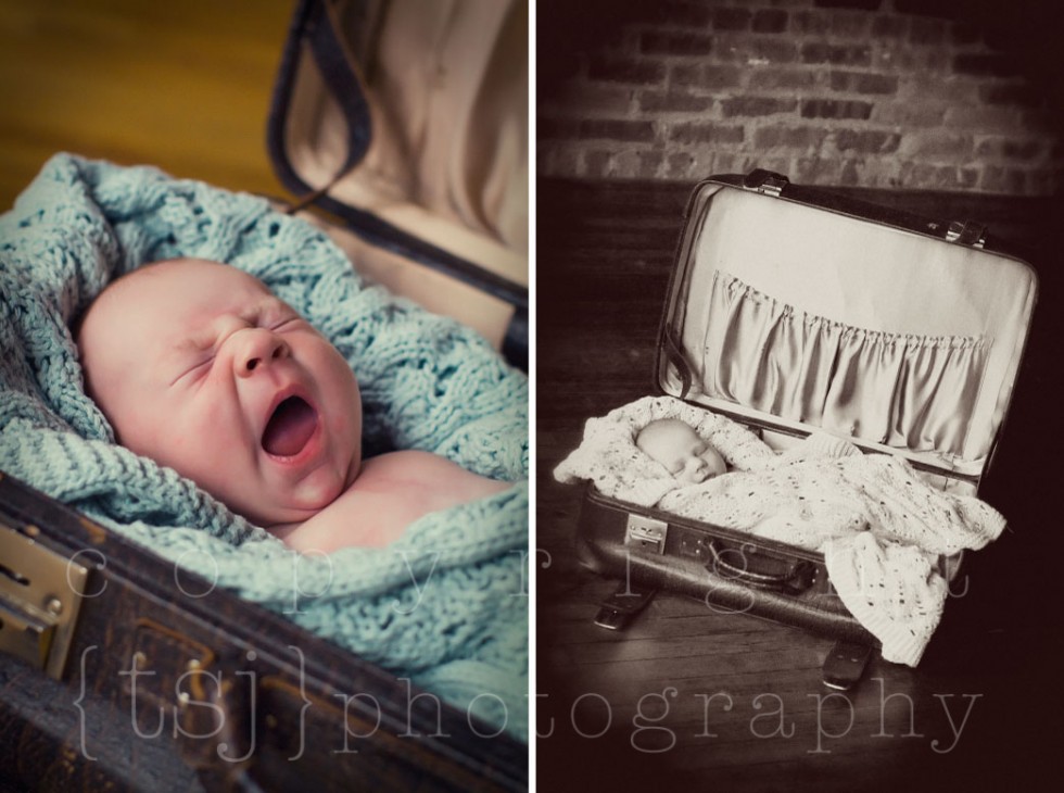 milwaukee newborn photographer