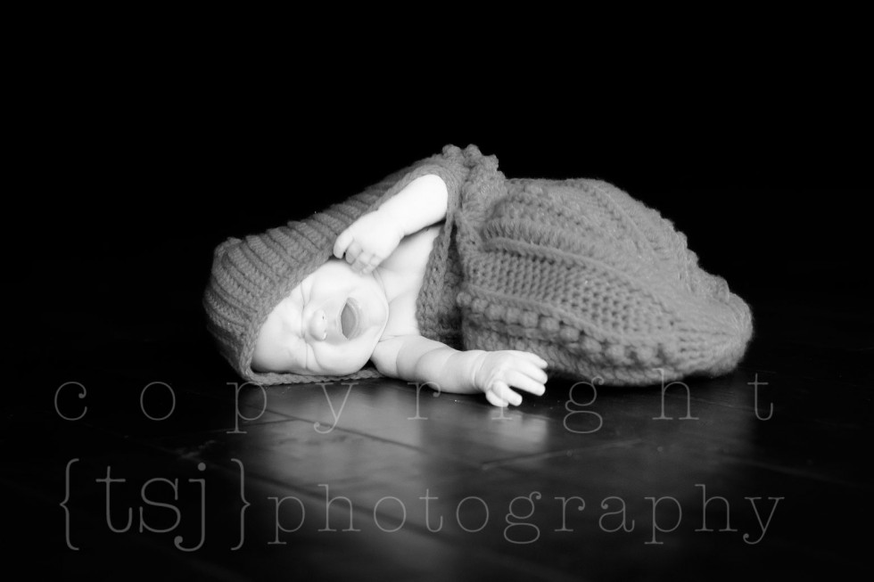 milwaukee newborn photographer