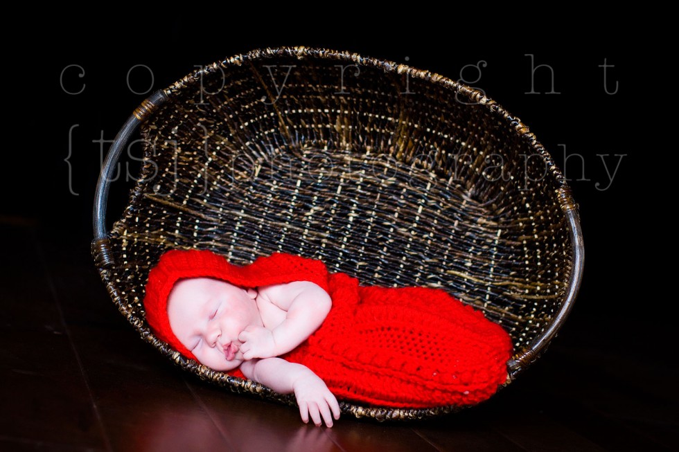 milwaukee newborn photographer